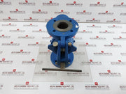 Celeros Flow Technology Sxcs-0300A1-v Simplex Type S Single Basket Strainer 38 C