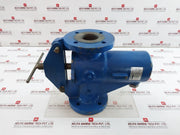 Celeros Flow Technology Sxcs-0300A1-v Simplex Type S Single Basket Strainer 38 C