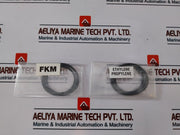Chesterton 155 Fkm Rebuild Spare Part Kit Seal Size – 13