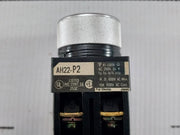 Command-Switch-600V-10A-Fuji-Electric-Ah22-p2B22-209815-9