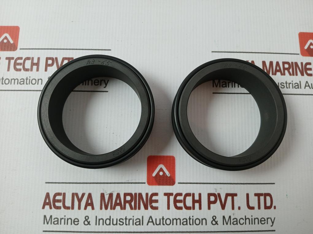 Condition NEW Pillar Mechanical Seal Cs10-060Jp