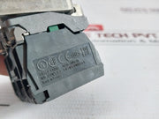 Contact Block With Pushbutton Zbe-101 Brand Schneider Electric Ac15-240V 3A