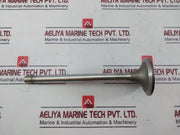Cummins 3052820 Insert Valve, 3803518