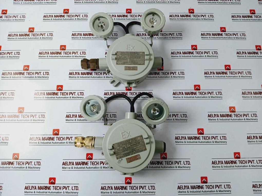 Dalian Df220/12-2X20J Marine Explosion-proof Emergency Light