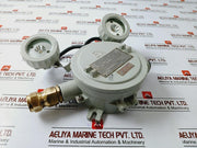 Dalian Df220/12-2X20J Marine Explosion-proof Emergency Light