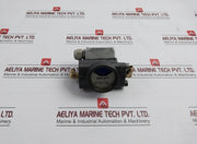 Deltap 0.6-0.8 Bar Differential Pressure Indicator