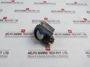 Deltap 0.6-0.8 Bar Differential Pressure Indicator