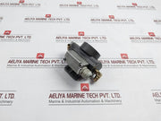 Deltap 0.6-0.8 Bar Differential Pressure Indicator