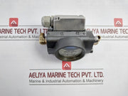 Deltap 0.6-0.8 Bar Differential Pressure Indicator