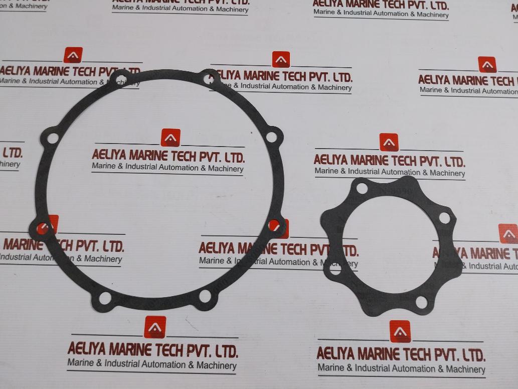 Deming 0004553 Gasket Kit For Pump Casing