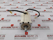 Denso 410622-1570 Double Connector Servo Motor 12080101N