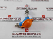 Desmi Ubmr1 Resistor Temperature Sensor 1Xpt100 10/100Mm Aisi316 G1/2