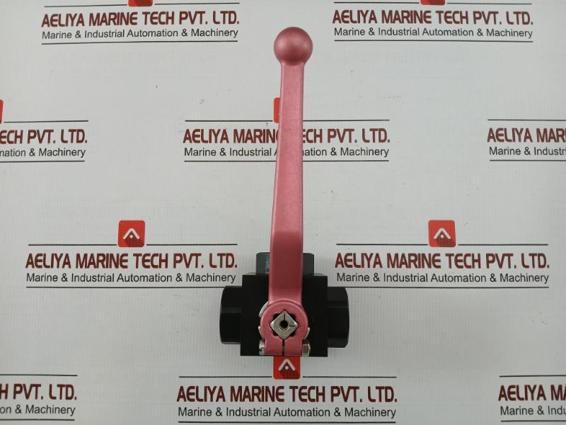 Dn 20 3/4 Bsp Rotelmann 2-Way Ball Valve In Used