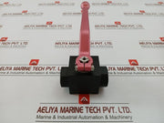 Dn 20 3/4 Bsp Rotelmann 2-Way Ball Valve In Used