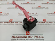 Dn 20 3/4 Bsp Rotelmann 2-Way Ball Valve In Used