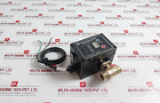 Dynaquip Controls Cw617N Drainmaster Timed Drain Valve Trim-rptfe-400 Cwp-bs 1/2