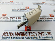 E.I.A. Nt0/ Nh0 Fuse Link Gl/Gg 100A 500V~120Ka