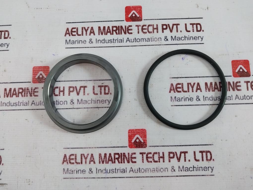 Eagleburgmann Bq1Vgg Mechanical Seal Kit Ms01_Ms665-g6_13509Ba0