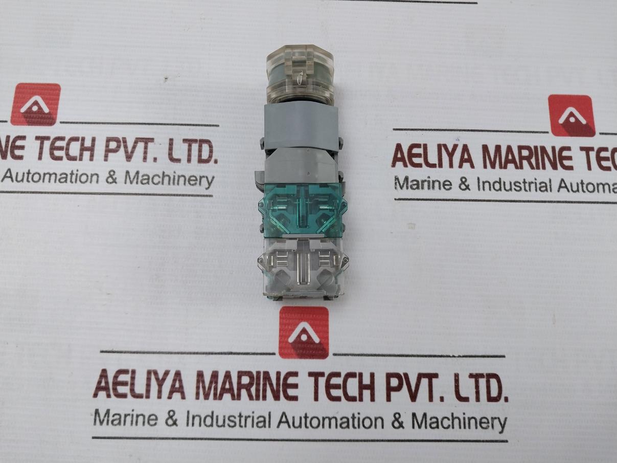 Eao 704.910.3 Illuminated Pushbutton Switch 380V 2,4W