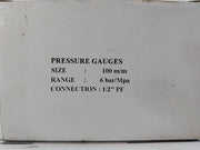 Econosto 0-6 Bar Pressure Gauge 100 M/M