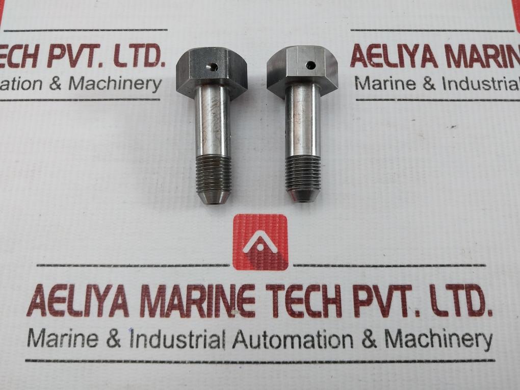 Em1434142.01.01 Capscrew, Special Torsion Link