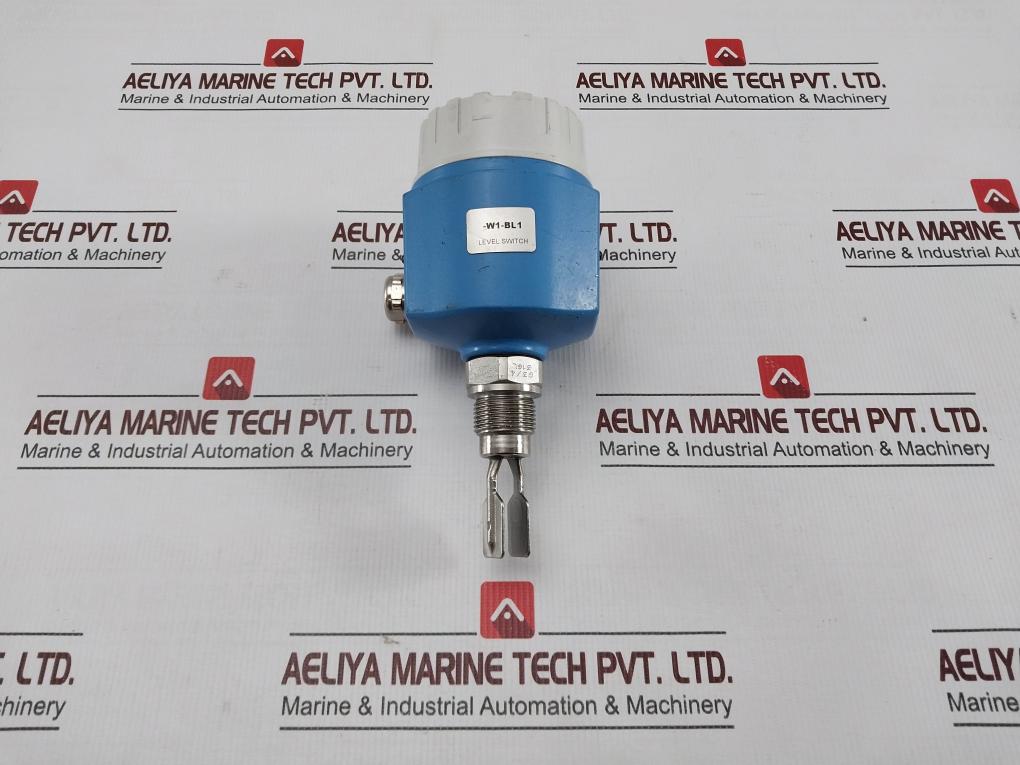 Endress+Hauser Ftl50-6V46/0 Level Switch Liquiphant M 64 Bar 11-36V Dc