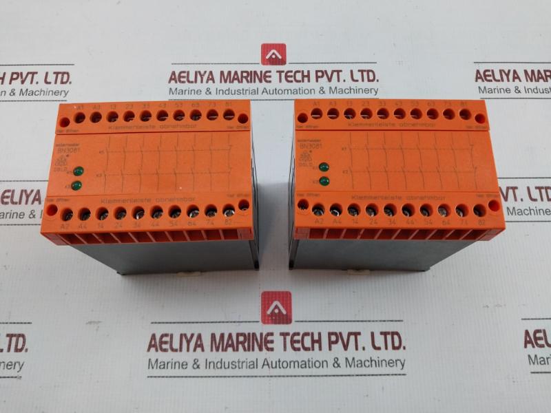 Extension Module Ac230v 50-60hz E.Dold & Sohne Bn3081.63/61