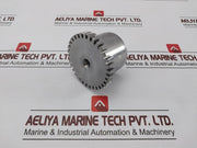 Falk 1040T Steelflex Grid Coupling Hex 1/4-20 X 3/16 0908500-k