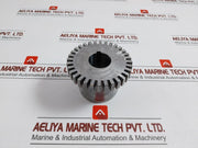 Falk 1050T Hub Grid Coupling 0704616