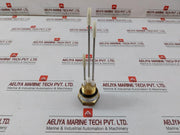 Fischer Nk06300100160180N0082 Sensor Transmitter