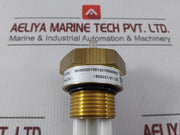 Fischer Nk06300100160180N0082 Sensor Transmitter