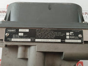 Fisher Dvc6020s