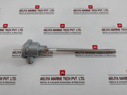 Fpl Temperature Sensor 250-mm
