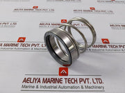 Fuglesangs Mechanical Seal