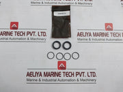 Ge 20-504470 Spm Valve Dual Piloted Seal Kit 1