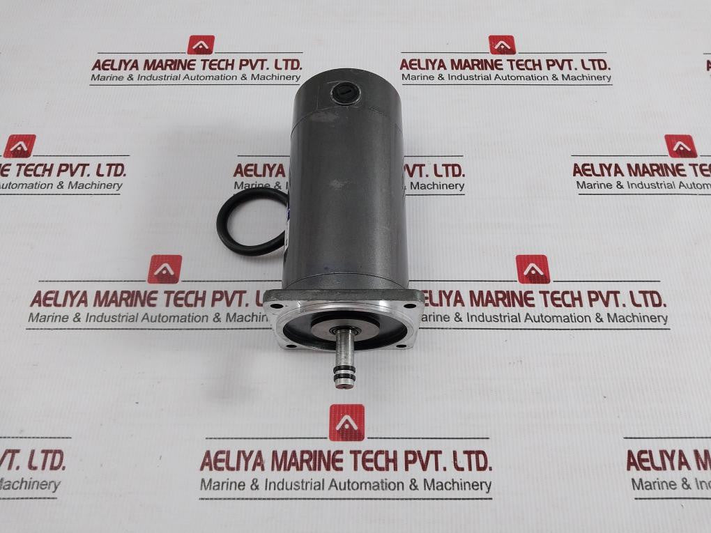 Gear-Motor-Dm-12-Tianli-Motor-Ip-54-24v-1
