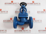 Globe Valve Dn25