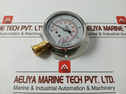 Grainger Kl.1.6 Pressure Gauge -76-11 Bar/Psi L/F