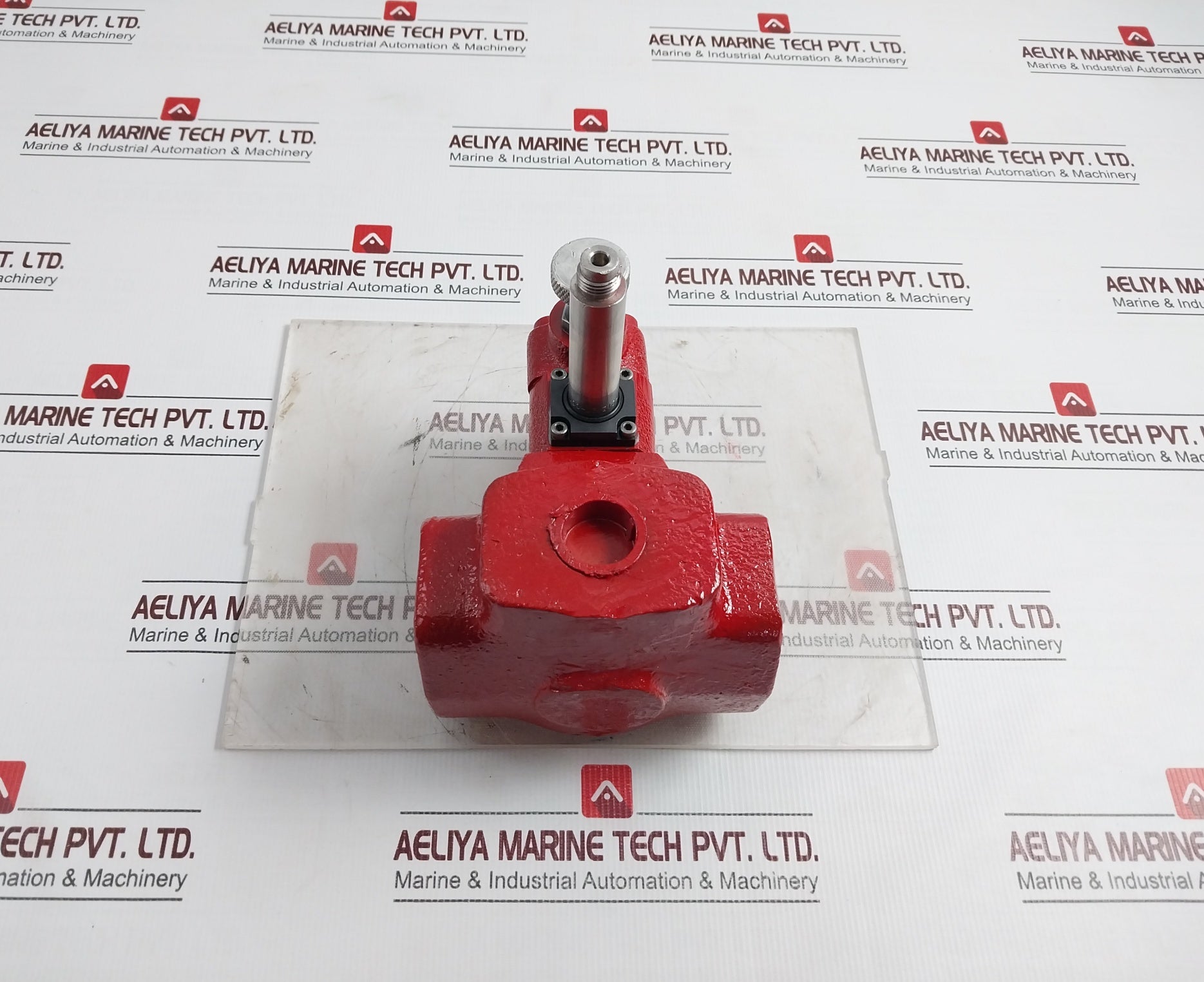 Hagglunds Denison R4V06 313 10