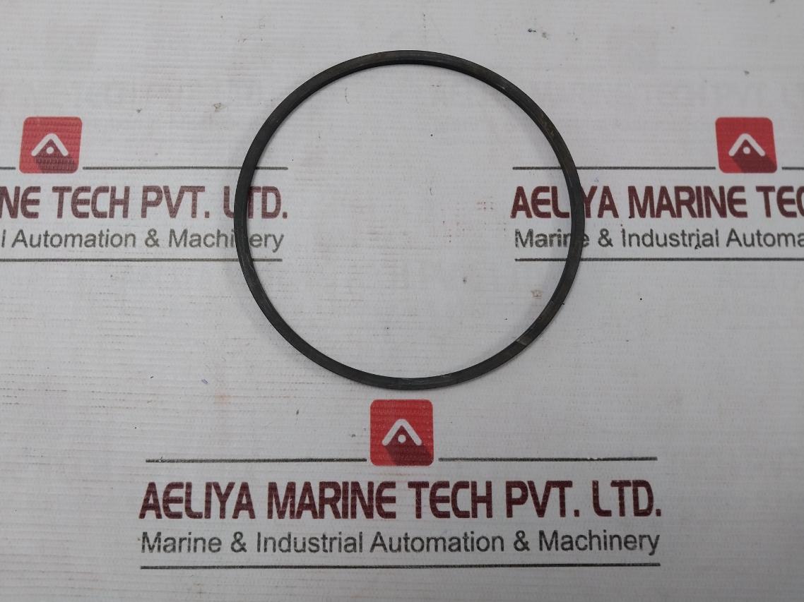 Halliburton 100002829 Anel Bomba Pump Ring