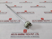 Hartmann &Amp; Braun 1Xpt100 Temperature Sensor 350-mm