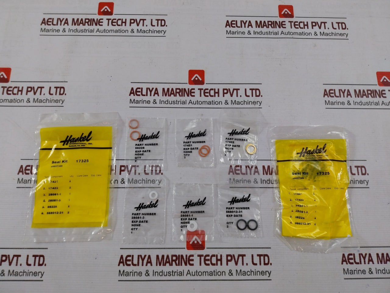 Haskel 17325 Check Valve Seal Kit 40037309