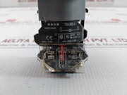 Heavy Pilot Duty Guarded Pushbutton 100 Gm Switch 10a 500v By Eao 704.950.0