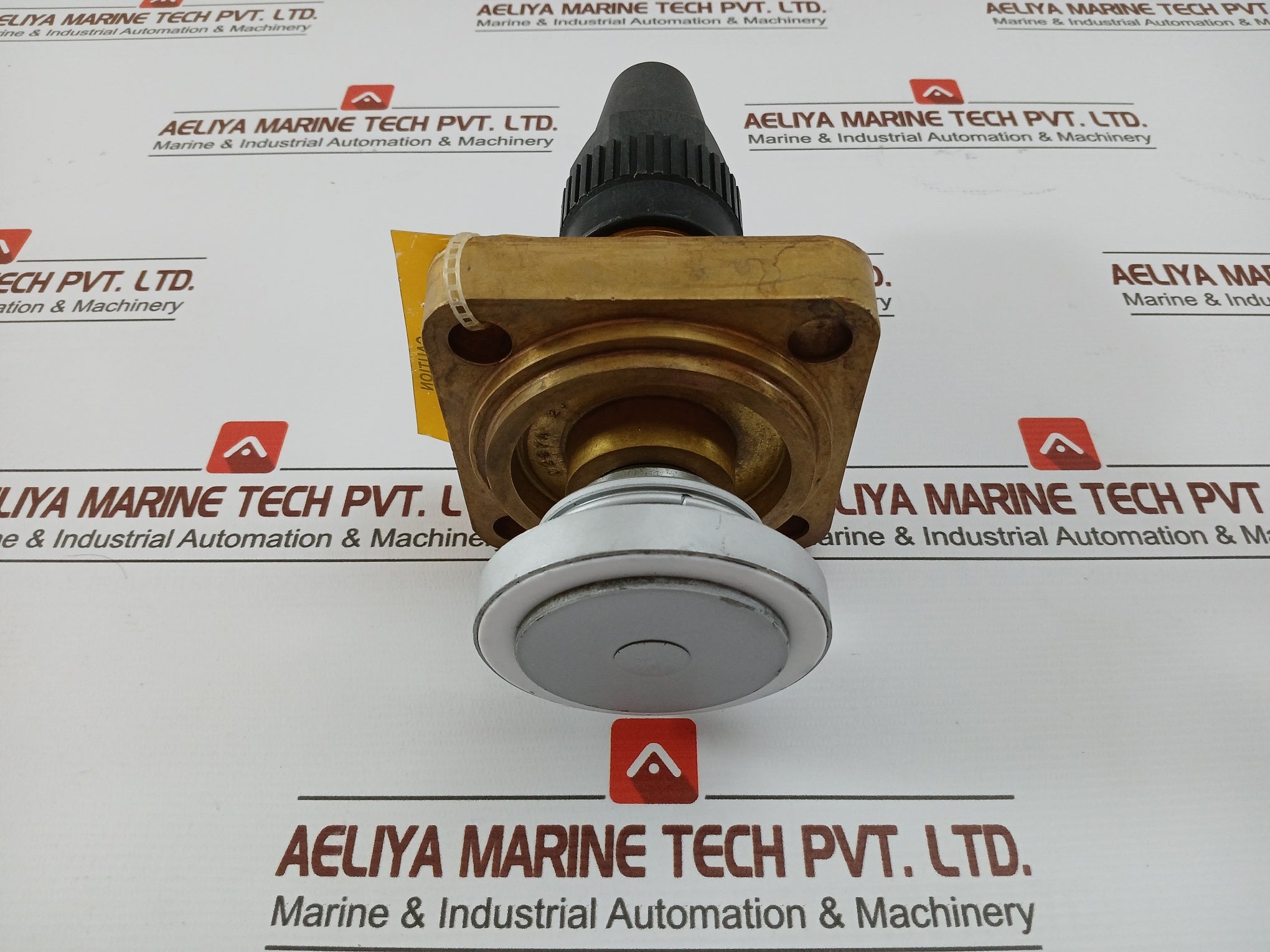 Henry Pp20-691 seal cap valve