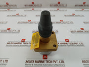 Henry Pp20-691 seal cap valve