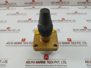 Henry Pp20-691 seal cap valve