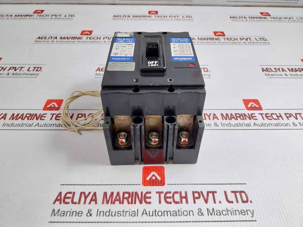 Hyundai Molded Case Circuit Breaker Ac200-480v 100a Hbl-103
