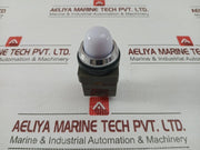 Idec-50-60Hz-Round-Pilot-Light-Apn148-w-209018-3