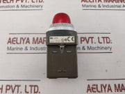 Idec Apn Primary Pilot Light 100/110V