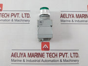 Idec Apw Pilot Light 230v 50.60 Hz 6.3 V 1w